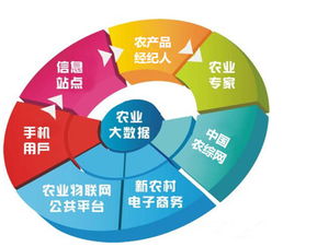 農(nóng)業(yè)市場雖難做，網(wǎng)絡(luò)技術(shù)賦能，鄉(xiāng)村也能出富豪